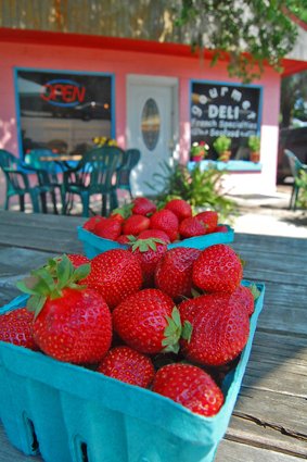 USA South Carolina Coast South Carolina Pawleys Island  A Little Bit of Krazy, a Lot of Krab 
