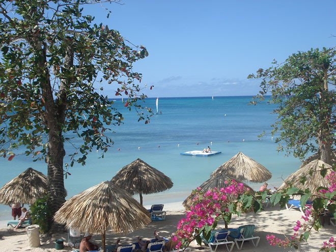 paradise found at Jamaica paradise found at Jamaica