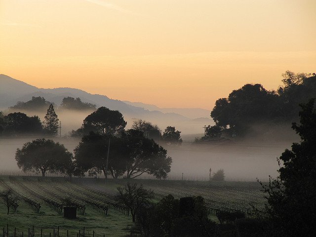 visit Napa Valley