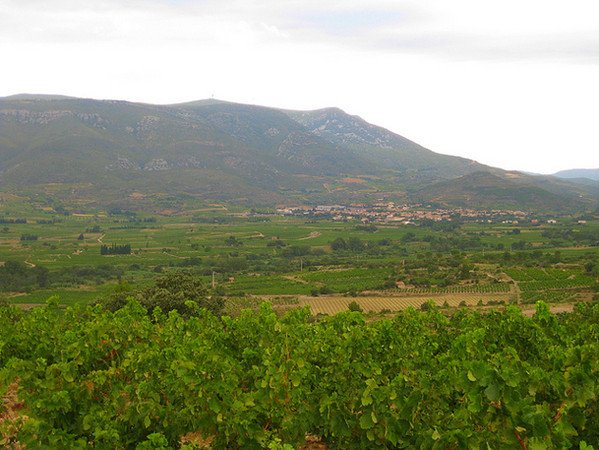 Languedoc Wine Area