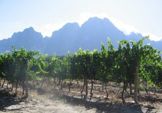 South African wine regions