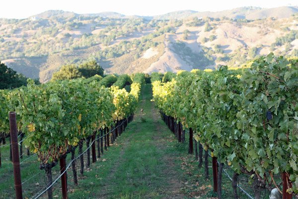 Wine and Relationships