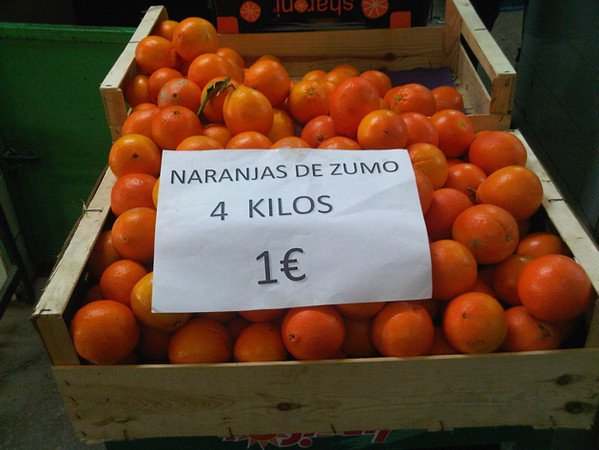 Valencia Oranges