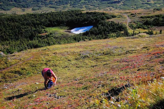 Views and Hikes at Flattop Mountain in Anchorage USA Anchorage Alaska