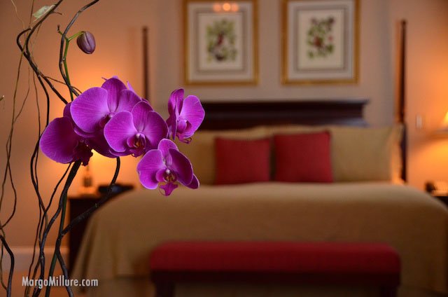 Virginia USA Richmond hotels 