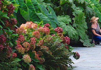 TTBheader4-(1)