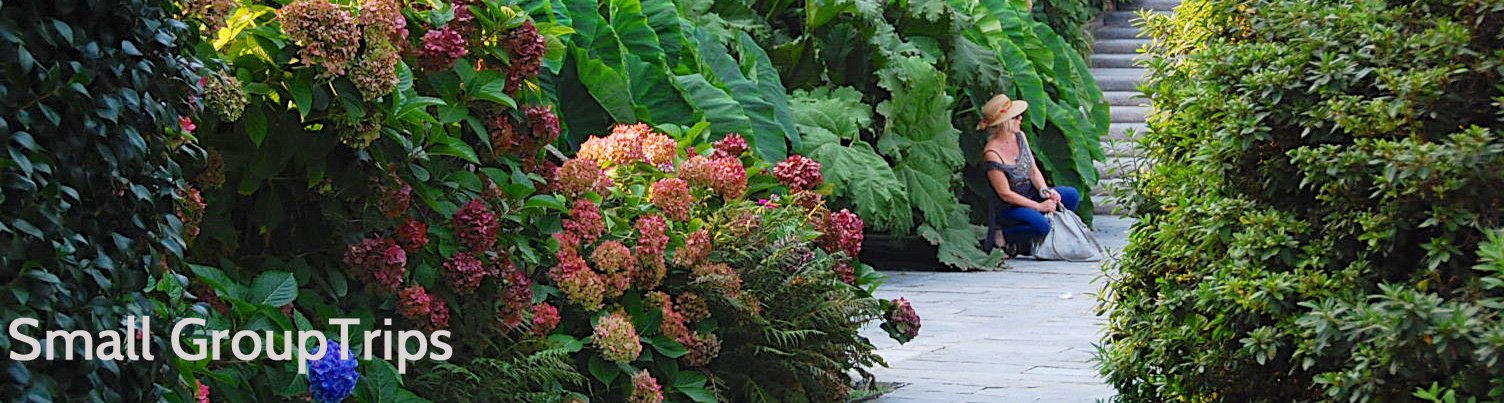 TTBheader4-(1)