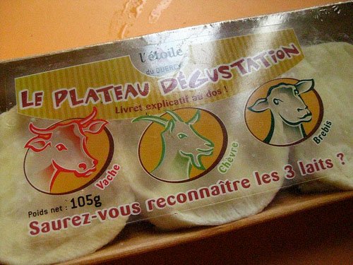 French Cheese 101 travel tips for women girlfriend getaways