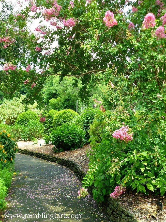 Brisbane, Australia: Botanic Gardens at Mt Coot tha Queensland Australia