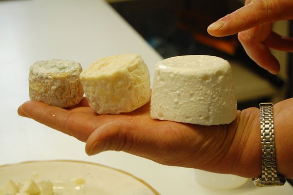 French Cheese 101 travel tips for women girlfriend getaways