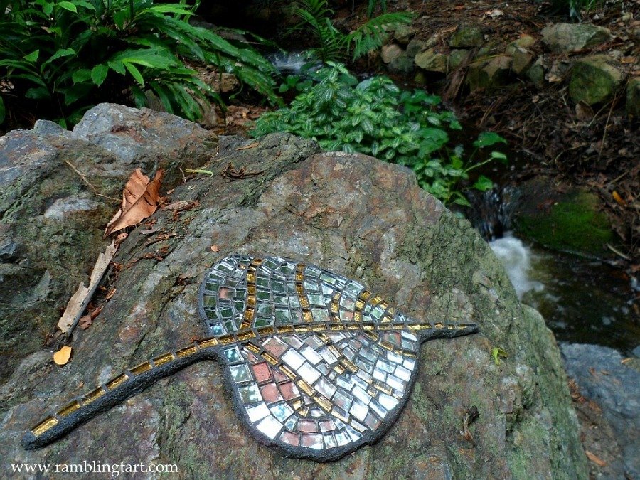 Brisbane, Australia: Botanic Gardens at Mt Coot tha Queensland Australia