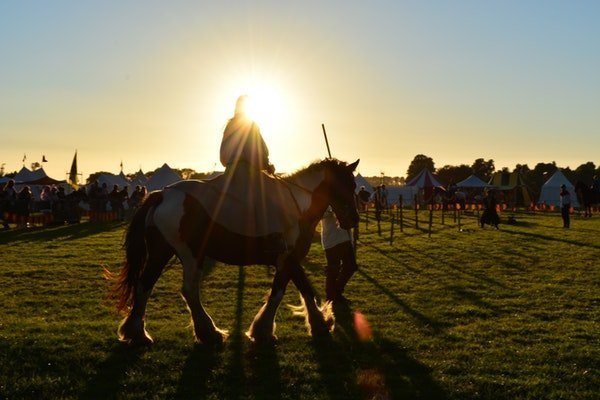 daytime horse riding