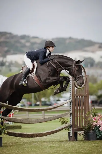 woman horse equestrian
