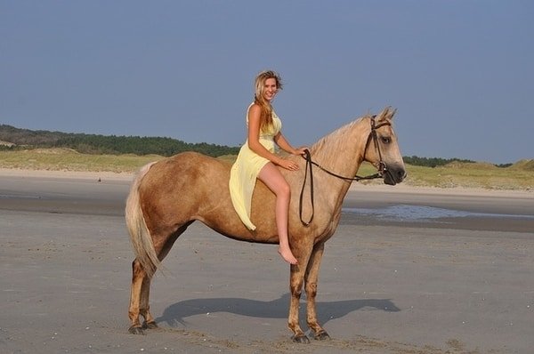 woman horse sand