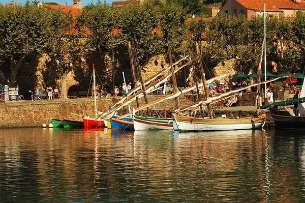 boats trees water