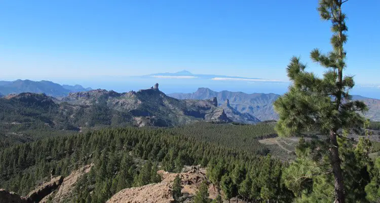 canary-islands-women-vacation