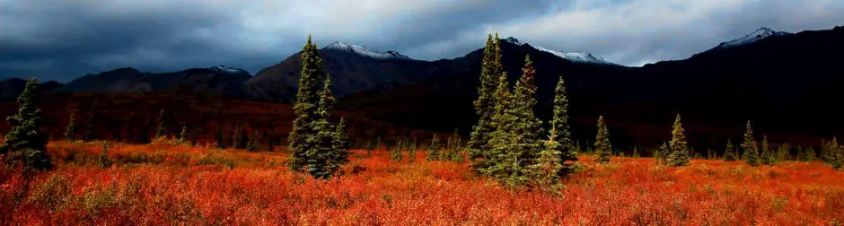 best travel photos 2013, Denali national park