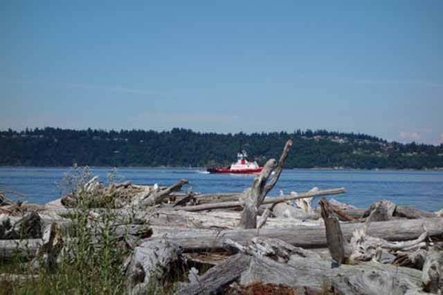 vashon23