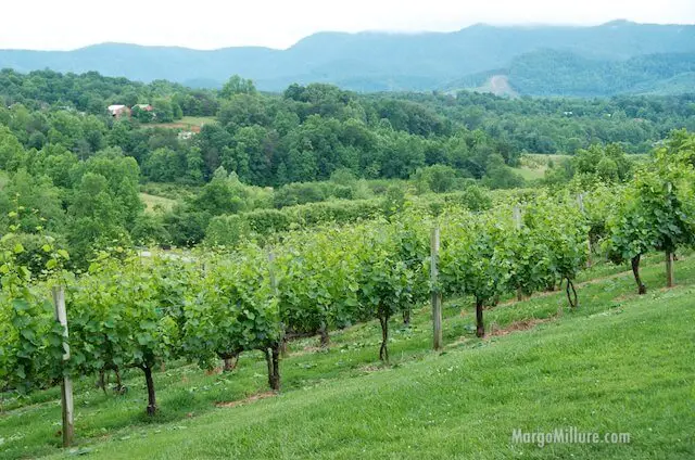 silverfork, new winery, fantastic chardonnays