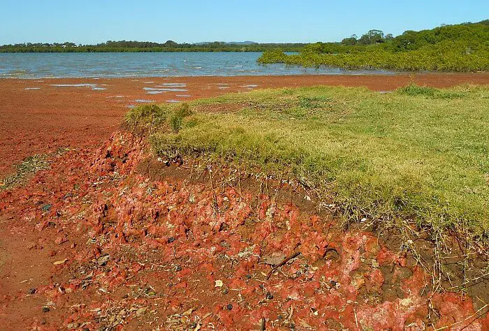 Oyster Point Park, red beach in queensland australia