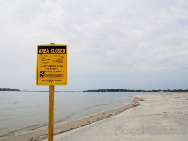 beach south carolina harbor island