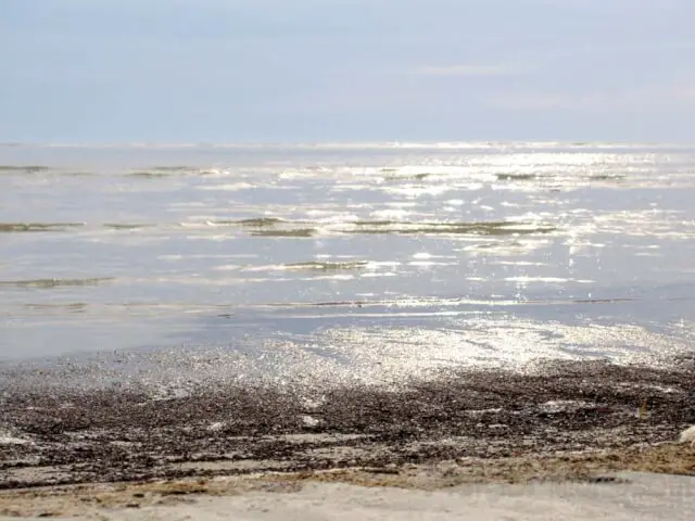 beach south carolina harbor island