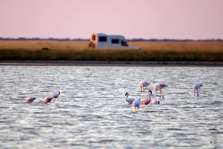 Parked for the night with the pink flamingoes at the Sowa Pan, in Botswana.