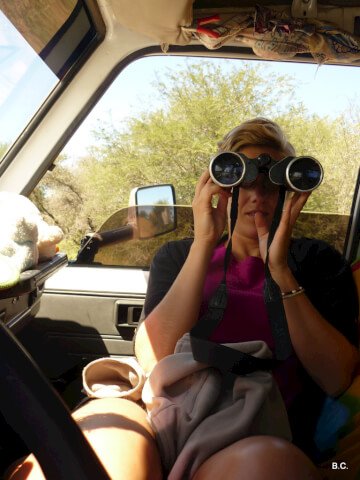 Scanning the horizon with mindfulness - and binoculars, of course! - guarantees great animal sightings.