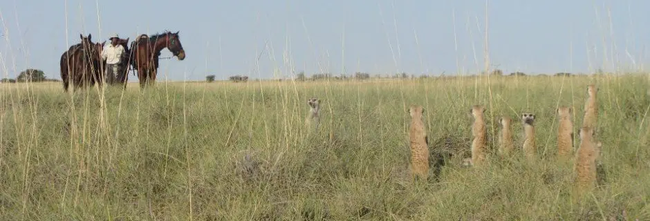 RIDE BOTSWANA
