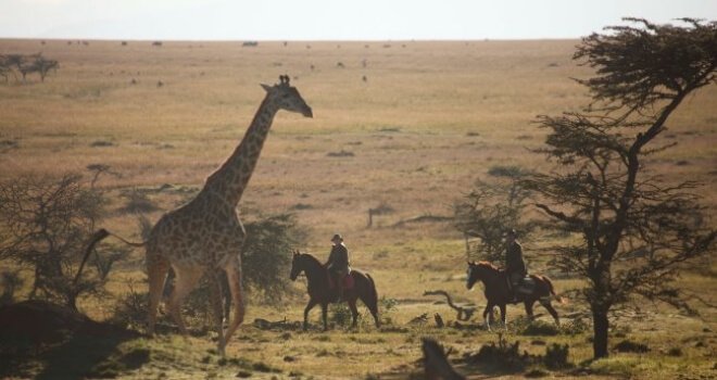 SAFARIS UNLIMITED