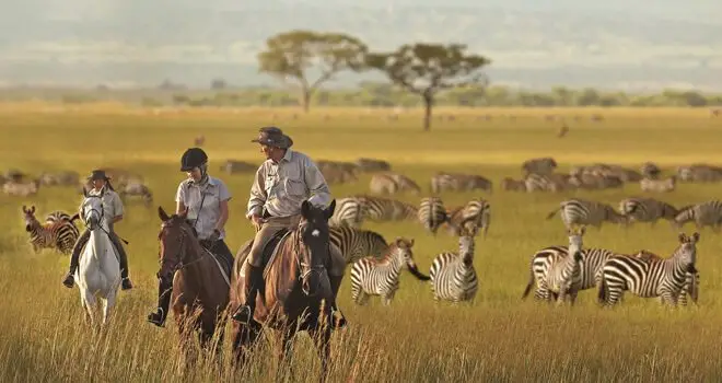 SINGITA GRUMETI