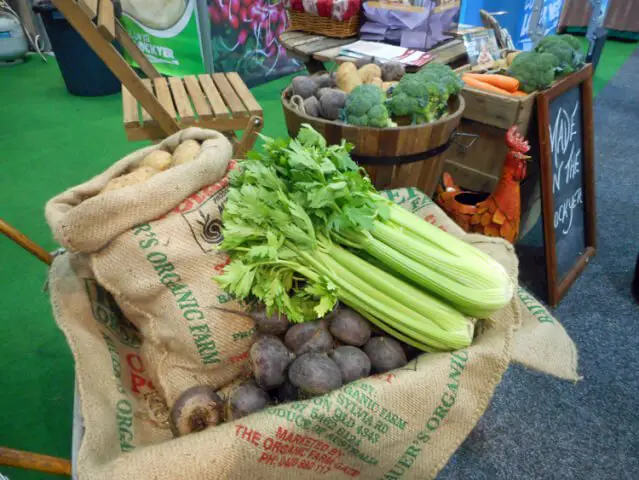 fresh farm veg display