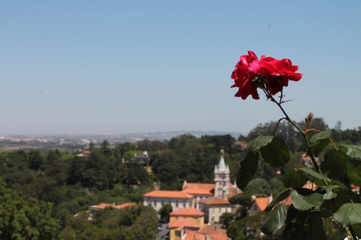 Visit Sintra