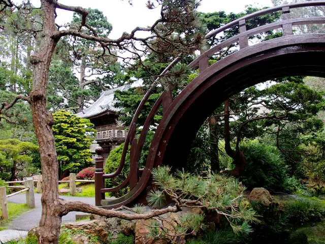 Drum Bridge Japanese tea garden