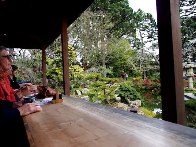 view over Japanese Tea Garden from tea shop