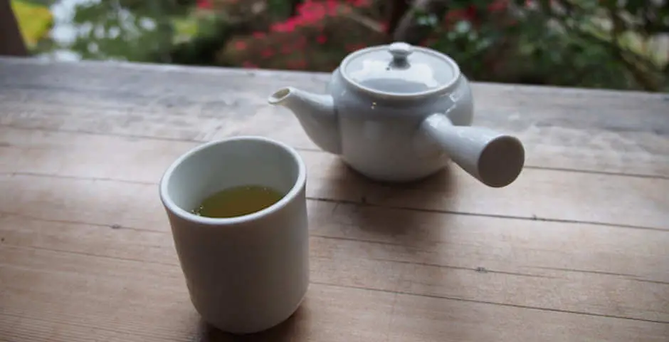 Japanese-Tea-Garden