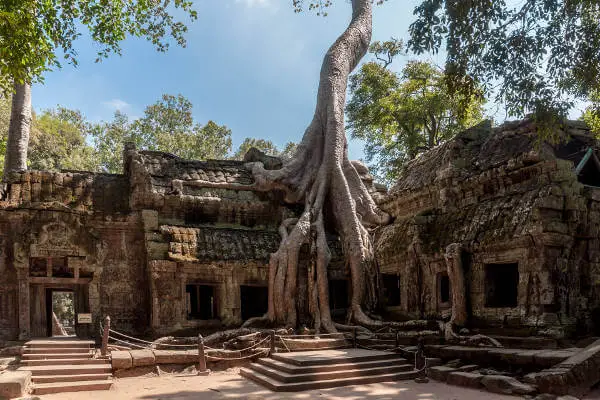 siem-reap-bayan-tree