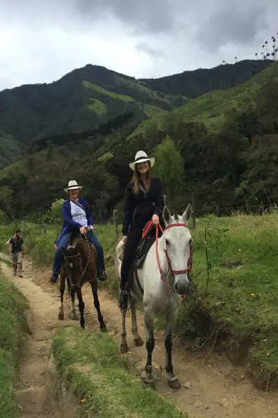 things-to-do-in-colombia-valle-de-cocora