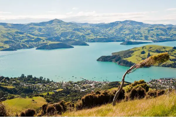 best-things-to-do-in-new-zealand-akaroa