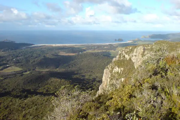 best-things-to-do-in-new-zealand-great-barrier-island