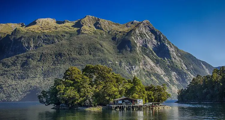 best-things-to-do-in-new-zealand
