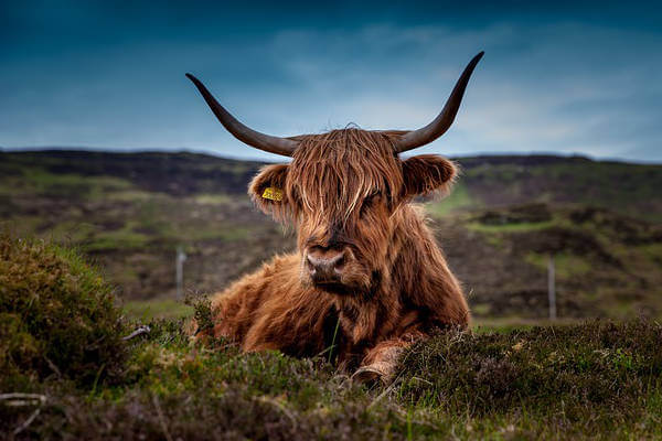 best-uk-natural-retreats-scotland