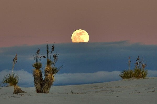 five-spring-break-destinations-white-sands