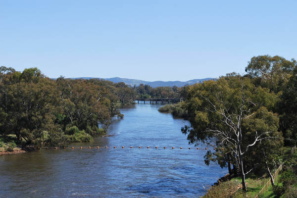 murray-river-cruise