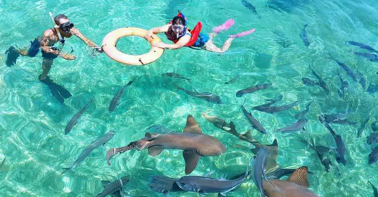 Best Things To Do in Belize