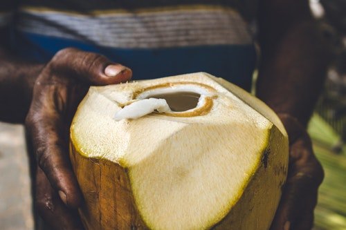 coconut cut in half