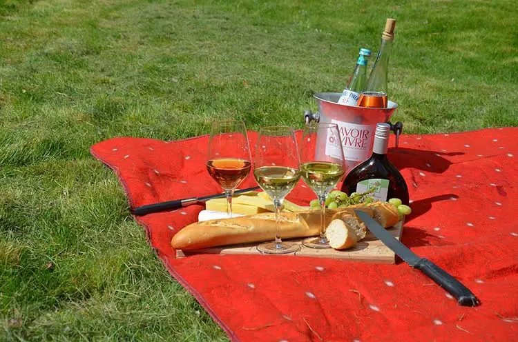 Picnic setup with wine and snacks