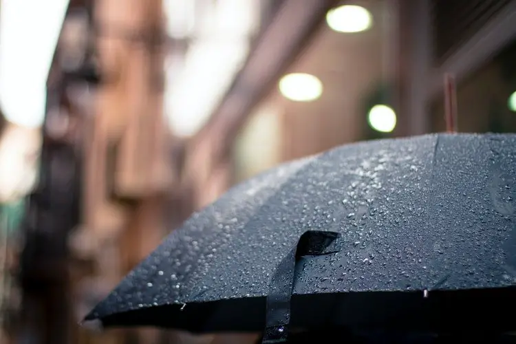 Raindrops on an umbrella