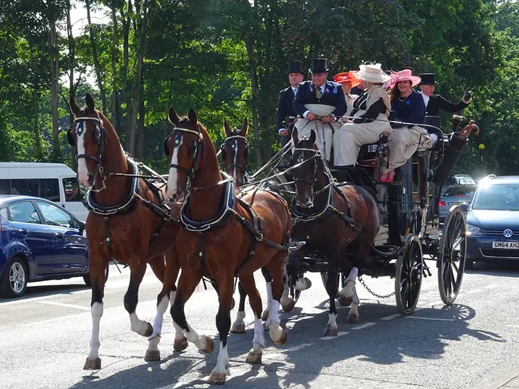 royal ascot travel