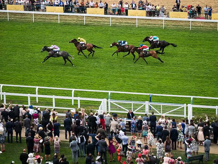 Royal Ascot horse race